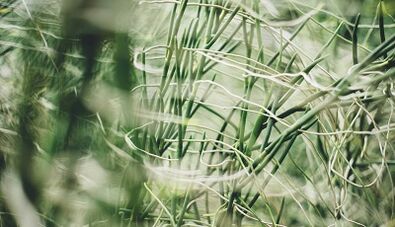 如何用自己的双手制作幸运护身符